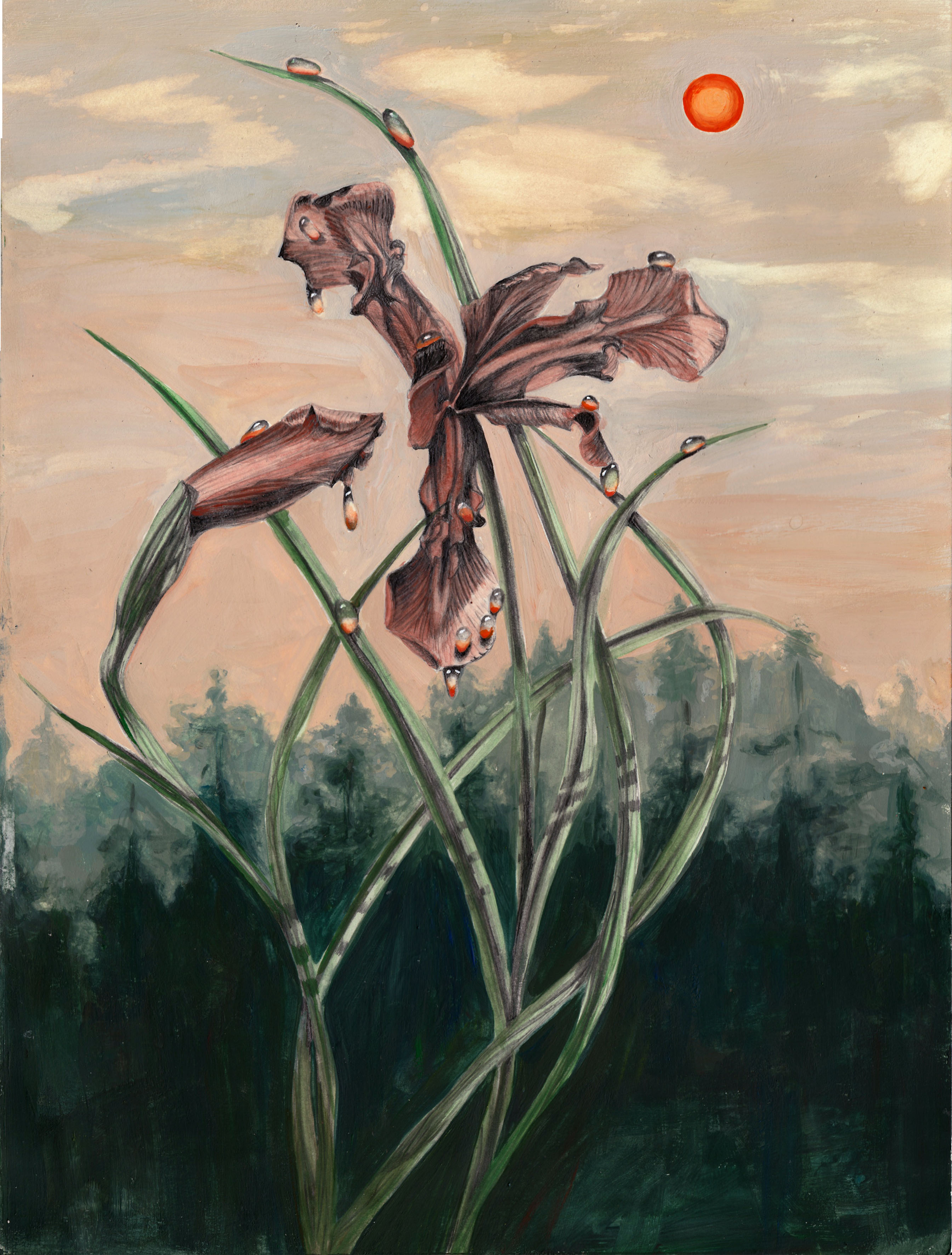 Smoke Sky Irises or Lusty Apocalypse Costume, 12x9” 2023 <br>Graphite and Gouache on paper<br><br>